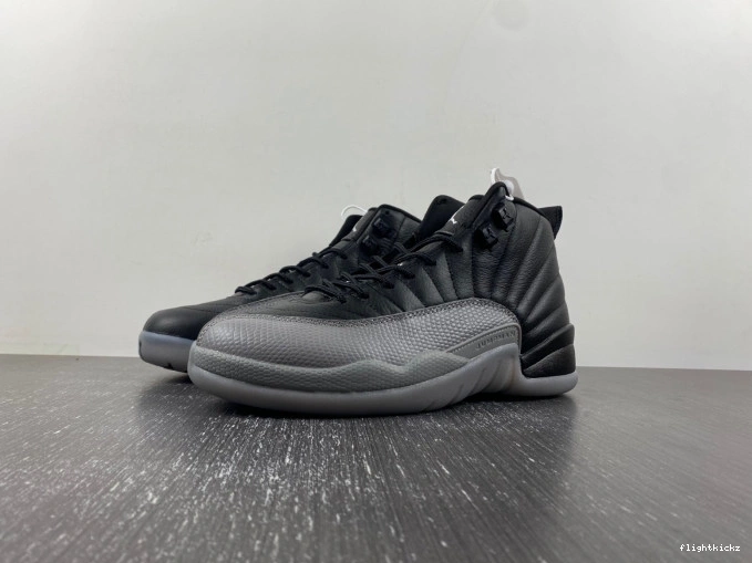Grey 12 Black Air Wolf CT8013-019 Jordan 1123